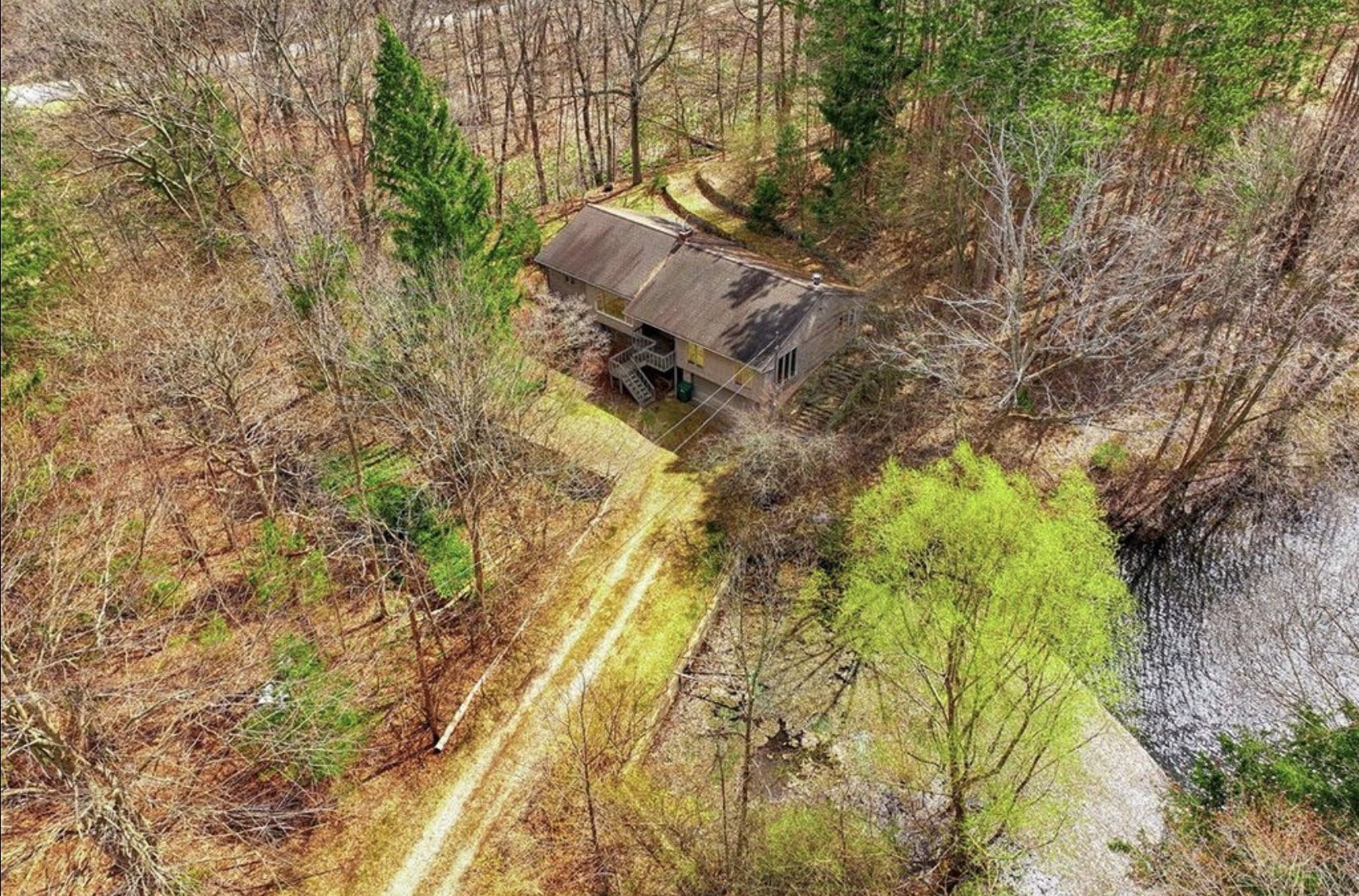Landscape and lot access view around a wooded property